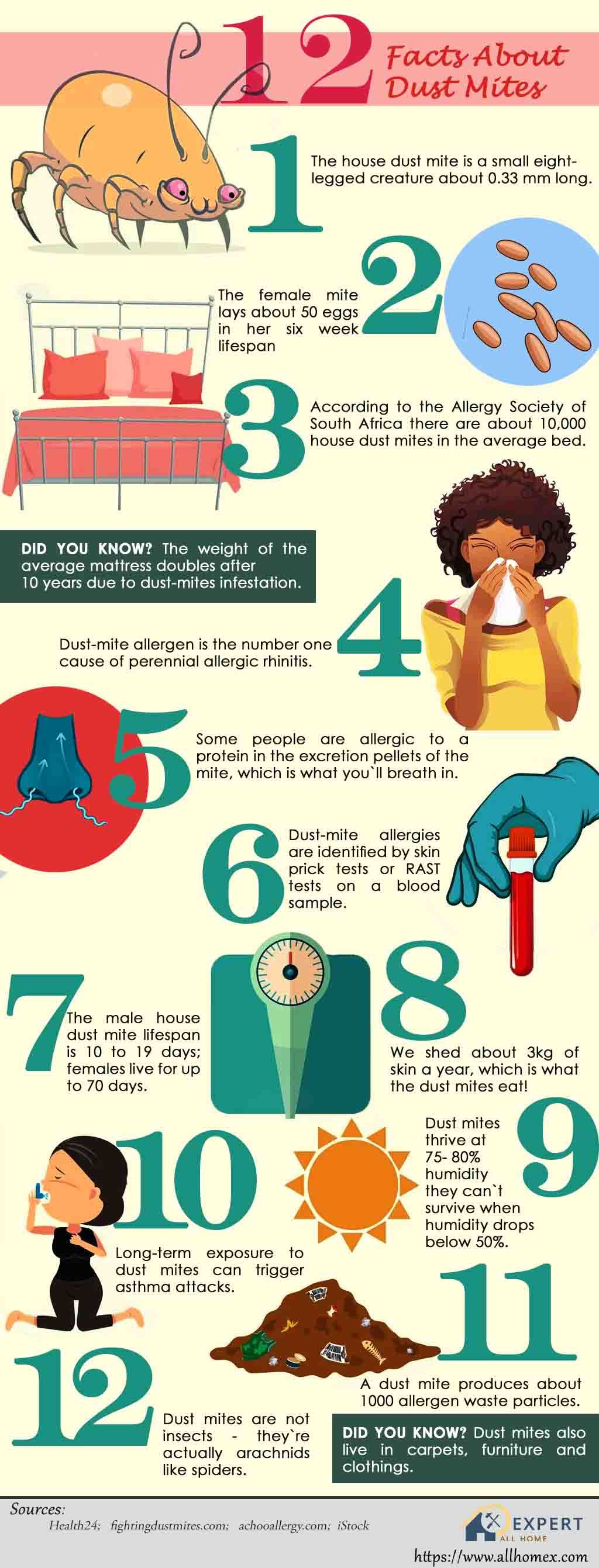 Service Detectives 7 Ways Your House Is Making You Sick >